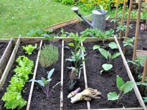 potager en carré