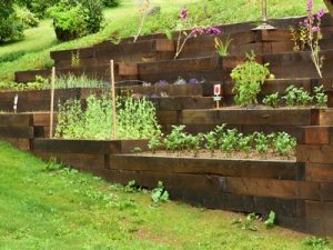 les atouts du potager en escalier