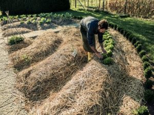 caractéristiques du potager en permaculture